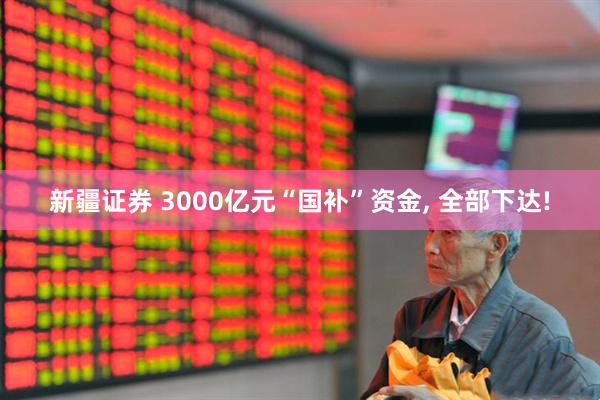 新疆证券 3000亿元“国补”资金, 全部下达!