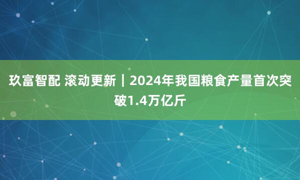 玖富智配 滚动更新｜2024年我国粮食产量首次突破1.4万亿斤