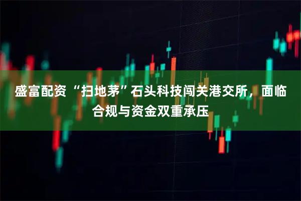 盛富配资 “扫地茅”石头科技闯关港交所，面临合规与资金双重承压