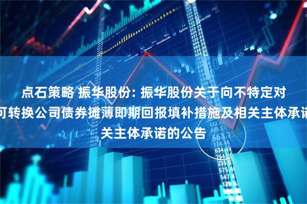 点石策略 振华股份: 振华股份关于向不特定对象发行可转换公司债券摊薄即期回报填补措施及相关主体承诺的公告