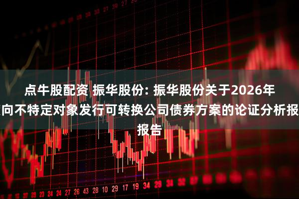 点牛股配资 振华股份: 振华股份关于2026年度向不特定对象发行可转换公司债券方案的论证分析报告