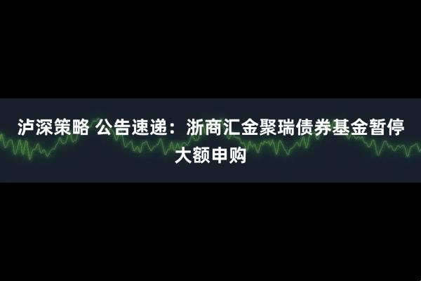 泸深策略 公告速递：浙商汇金聚瑞债券基金暂停大额申购